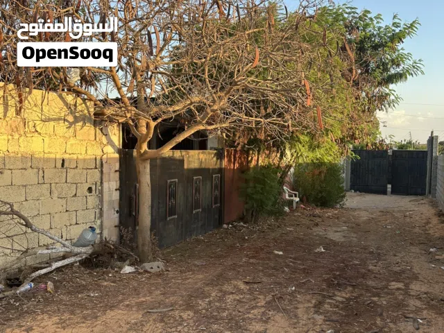 Studio Farms for Sale in Tripoli Wadi Al-Rabi