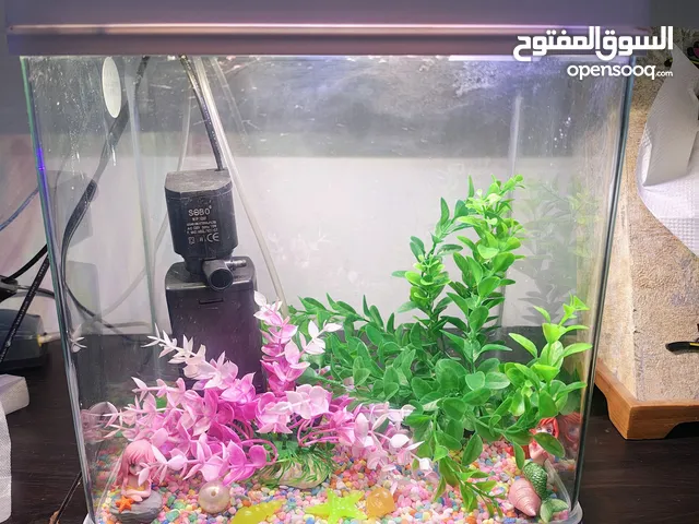 Fish Tank Aquarium at Cheap Price