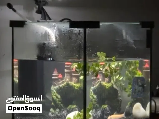 حوض سمك قابل للتفاوض 25×25×25 مع فلتر ماء ب 150 + 4 اسماك ملونه