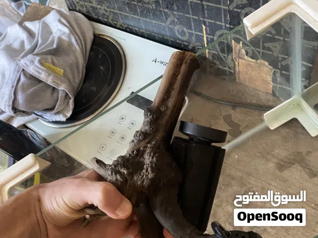 حوض سمك وسط