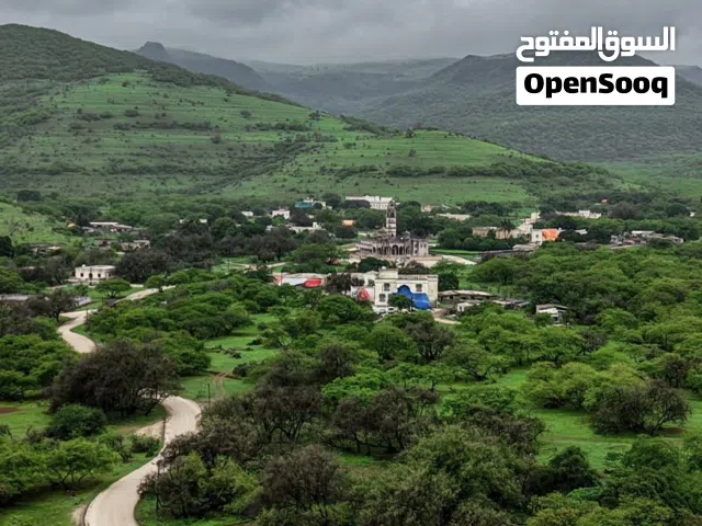 Sedan Toyota in Dhofar