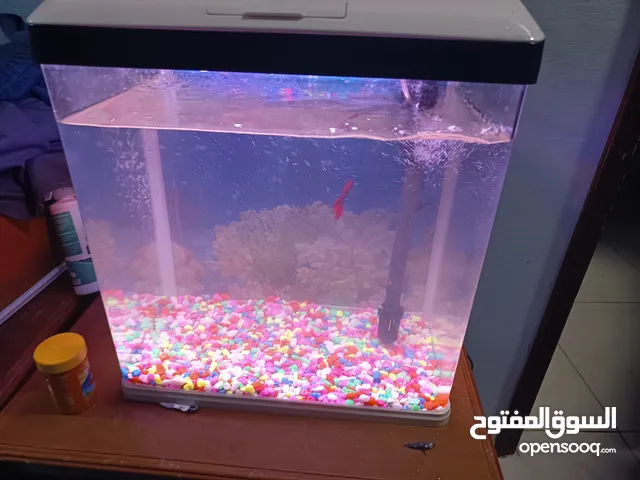 للبيع حوض سمك