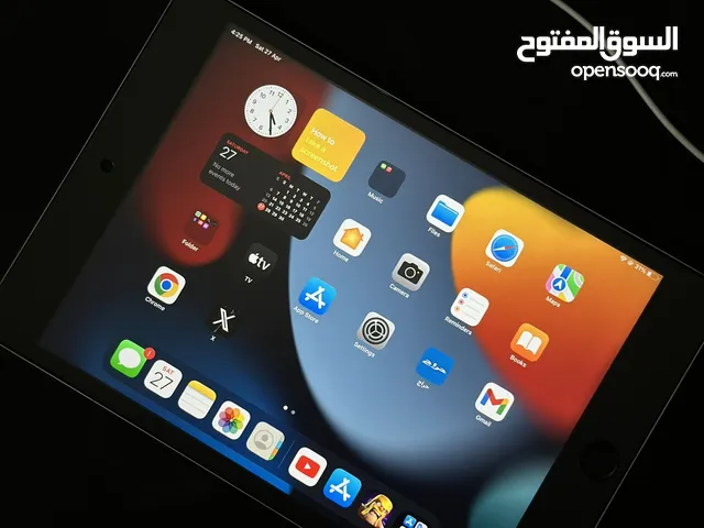 Apple iPad Mini 4 256 GB in Muscat