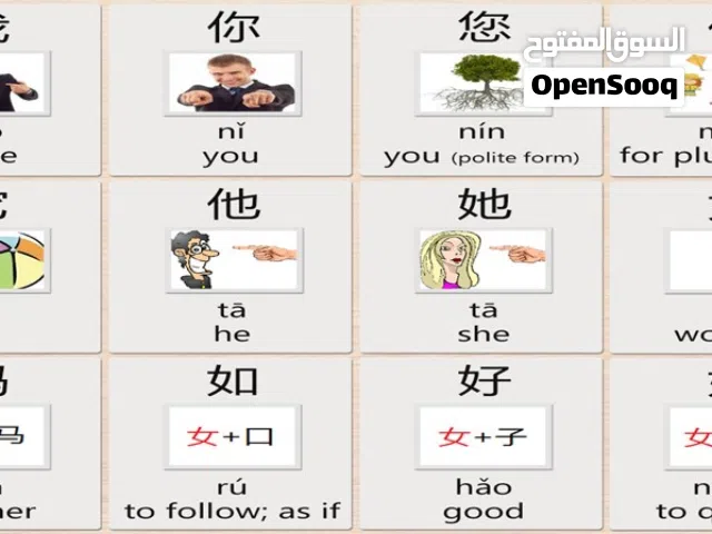 استاذ للغة انجليزي وللغة الصينية