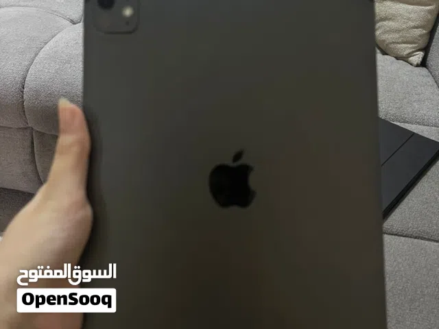 iPad pro m4