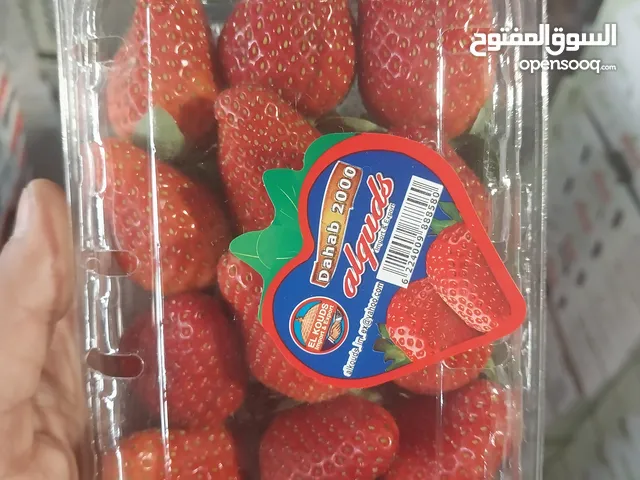 شركة ذات مسئولية محدودة بها رخصة تجارية لتجارة الخضار والفاكهة والمواد الغزائية