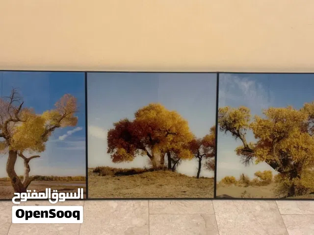 3 مناظر حائطية جديدة