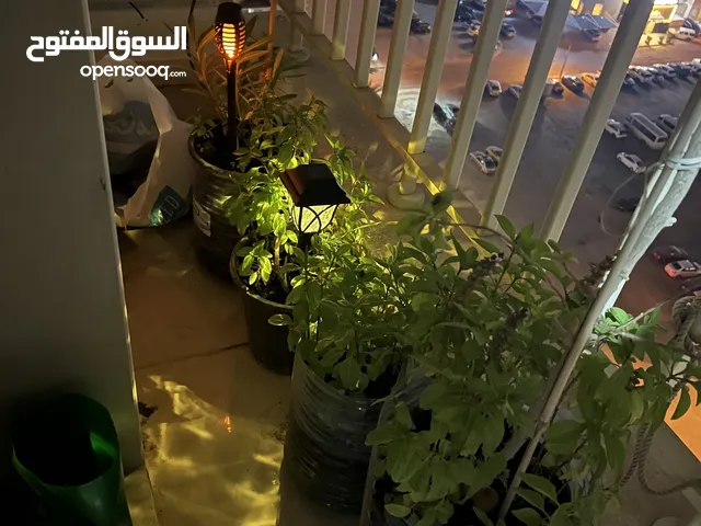 مطلوب شخص لمشارة غرفة