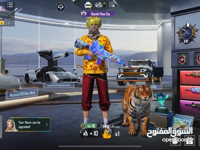 Pubg Accounts and Characters for Sale in Al Riyadh