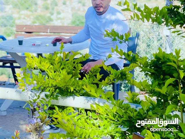 وسيم وائل زغل