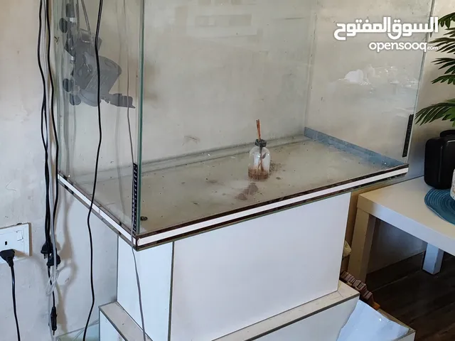 حوض سمك زجزاج مع قاعدة زجاجية