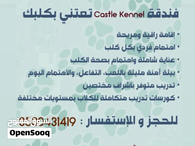 فندقة وتدريب كلاب جدة