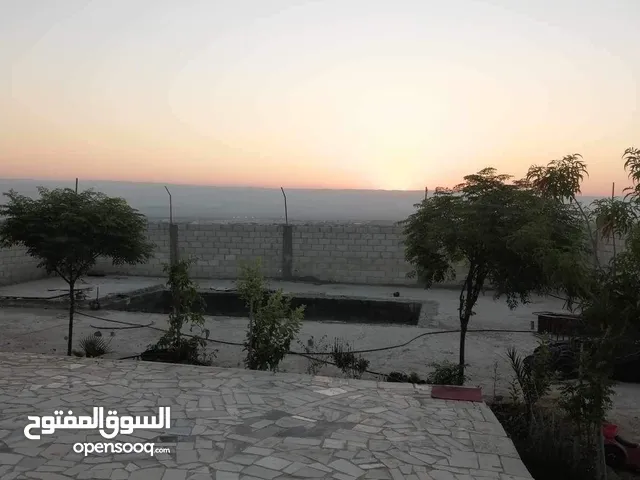 شالية الموقع سويمه جانب بحر الميت