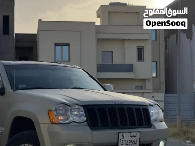 2010 جيب اخرى