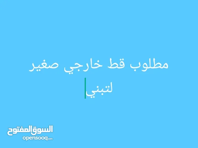 قطط لتبني خارجي صغير او كلاب