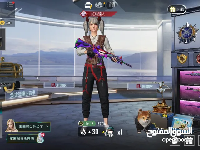 Pubg Accounts and Characters for Sale in Tripoli