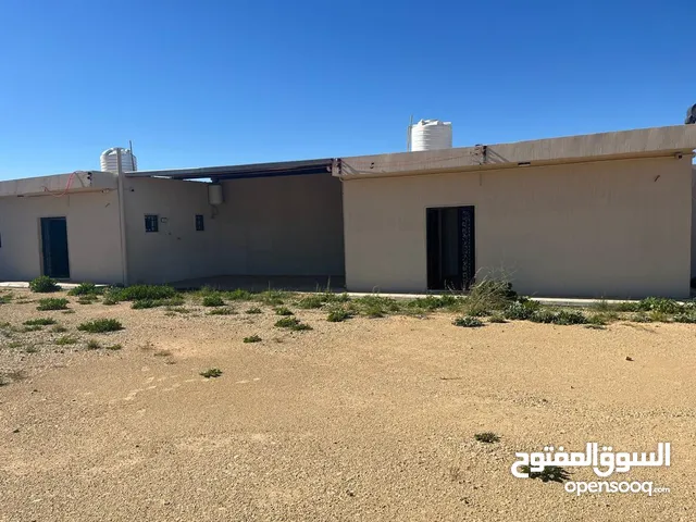 موقع جاهز لإنشاء ثلاجات تخزين