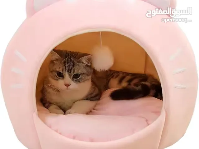 Cozy, cute, and purr-fectly adorable!