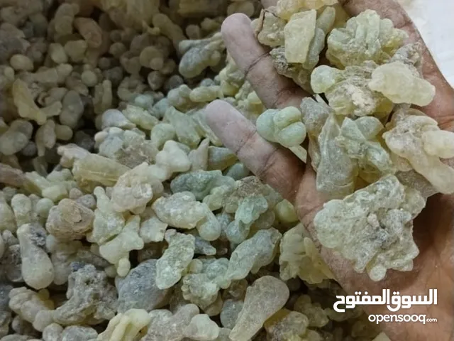 يتوفرلدينا اللبان العماني الاصلي بجميع انواعه الحوجري والذكر والشعبي بكميات كبيره اسعار خاصه للتجار