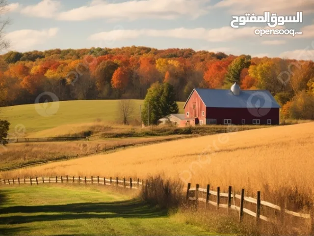 Mixed Use Land for Sale in Hebron Other