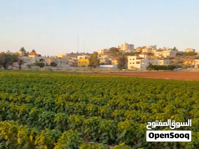 ارض ذات جوده عاليه يصلها الماء والكهرباء وبجانبها شارع فرعي.