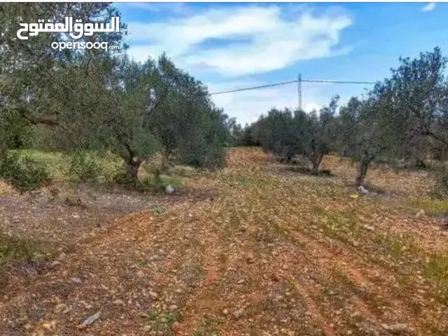 Farm Land for Sale in Sfax Other