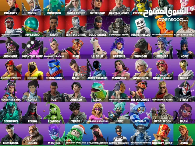 Fortnite Accounts and Characters for Sale in Northern Governorate