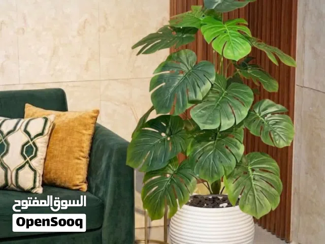 شجر وورد ونباتات زينه صناعيه تليق في بيتك او مكتبه متوفر جميع الاحجام والالوان والأشكال