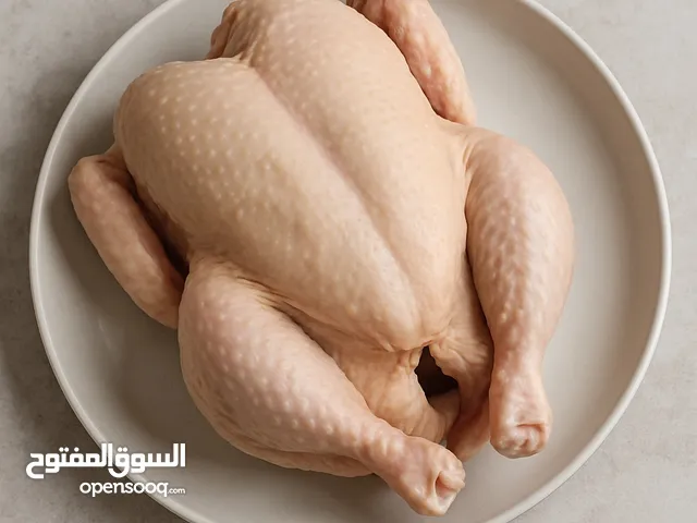 اعلاف للكلاب والقطط دجاج نضيف ومصلوخ جاهز للتقديم لاطعام الحيوانات الدجاج لا يحتوي على زراك او ريحة
