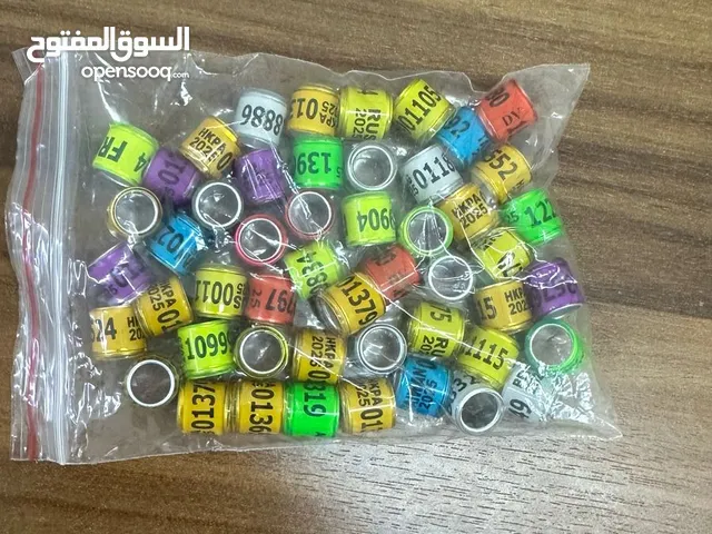 حجول حمام2025