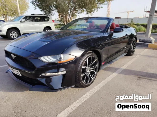 FORD MUSTANG ECOBOOST 2019