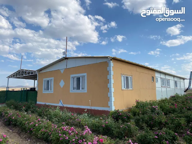 مشروع إستخراج زيت الورد