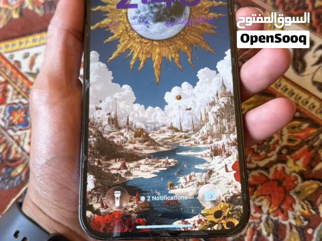 Apple iPhone 12 Pro Max 256 GB in Tripoli