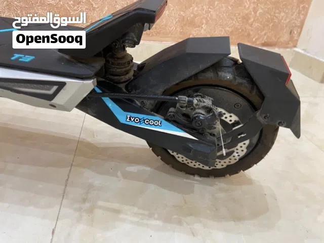 2025 Tiger Other