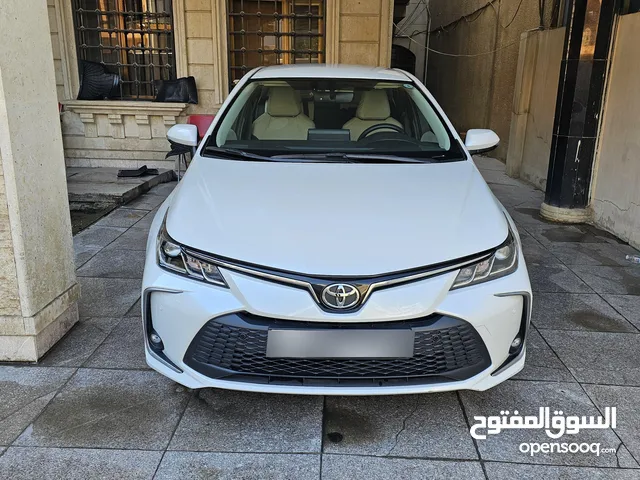 كورلا ساز 2023 رقم اربيل