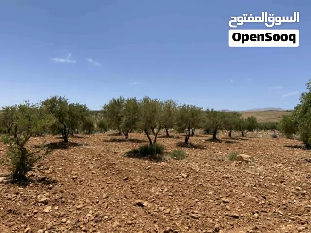 Mixed Use Land for Sale in Rif Dimashq E'sem