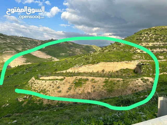 Farm Land for Sale in Irbid Kufr Asad