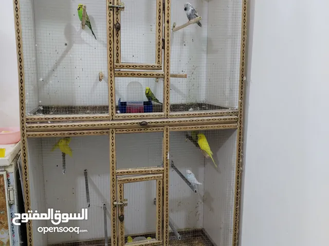 قفص طيور حب اقره وصف