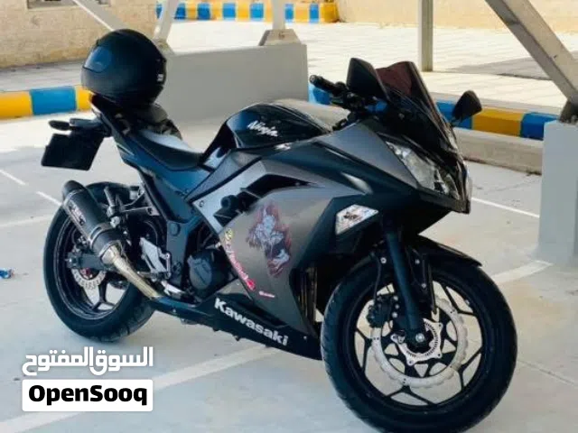 2015 Kawasaki Ninja 300