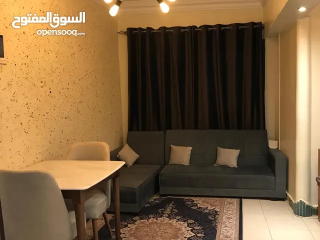 شقة المفروشة في المهندسين