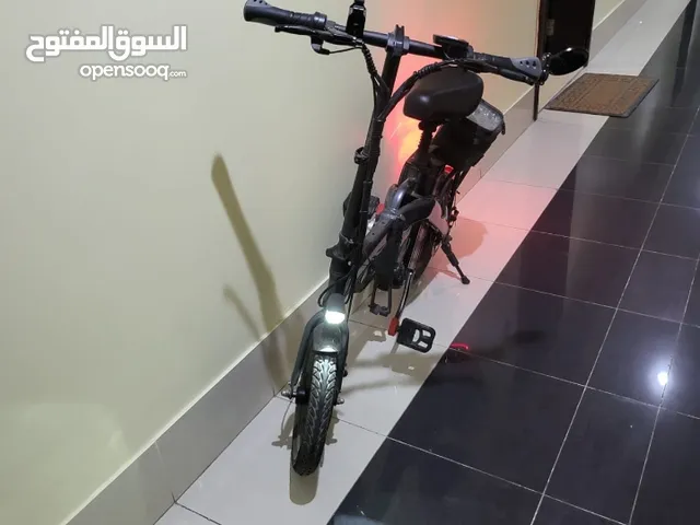Electric Bike