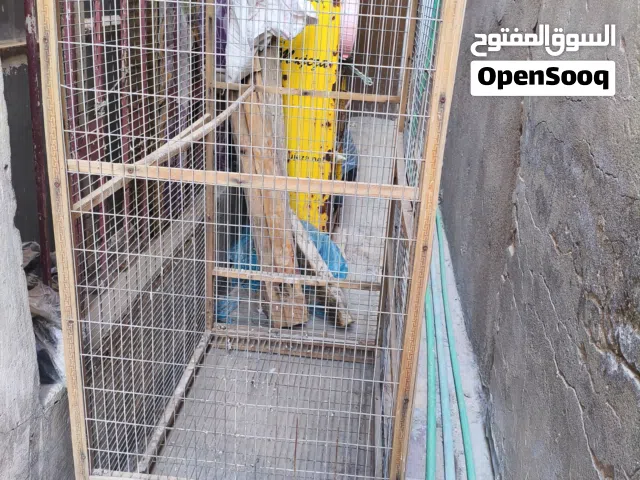 قفص كبير وقوي