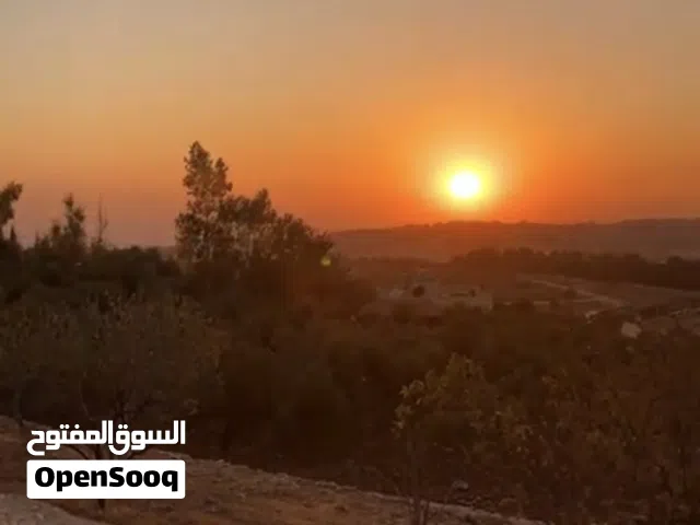 Residential Land for Sale in Amman Naour