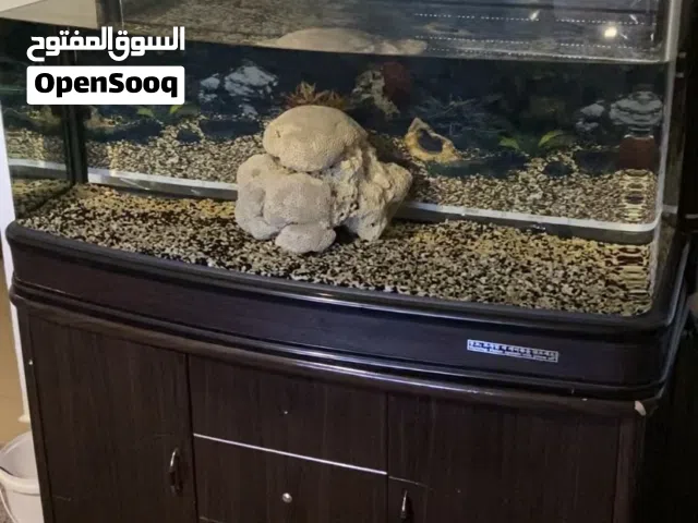 حوض اجنبي للبيع