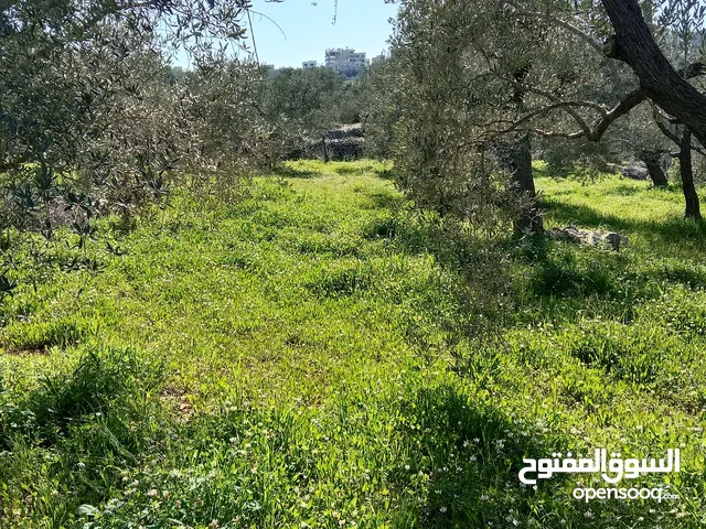 Mixed Use Land for Sale in Nablus Other