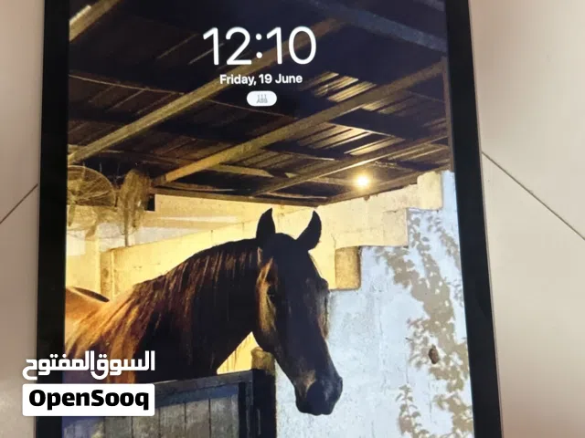 Apple iPad Air 2 16 GB in Al Batinah