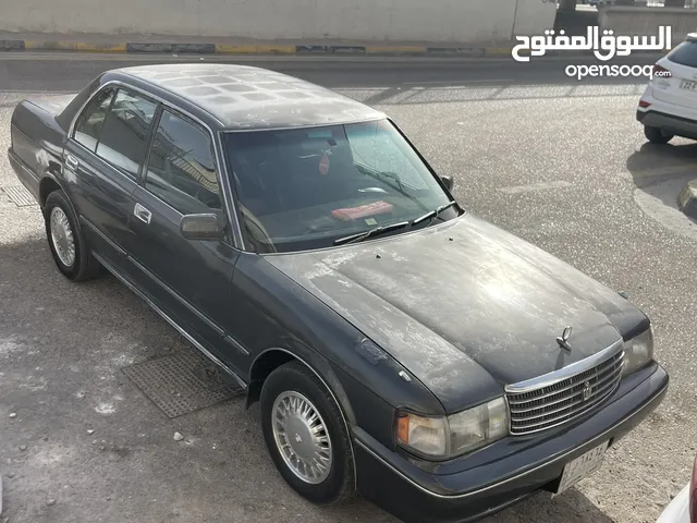 كراون ارنب