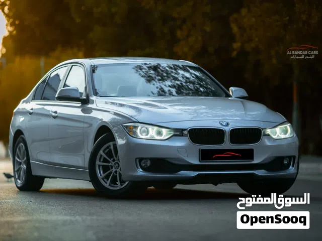 2015 BMW 3 Series 316