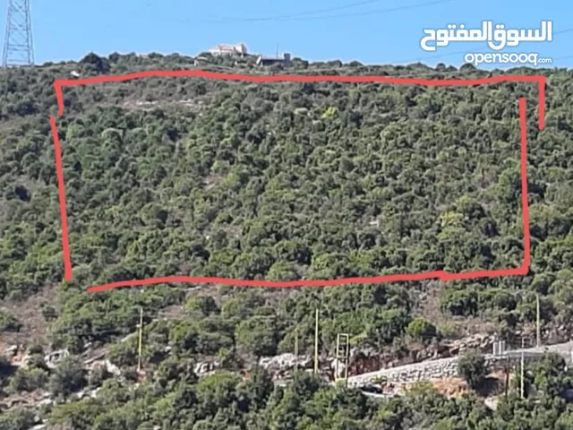 Mixed Use Land for Sale in Batroun Other