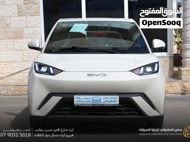 2025, بي واي دي, سيجول